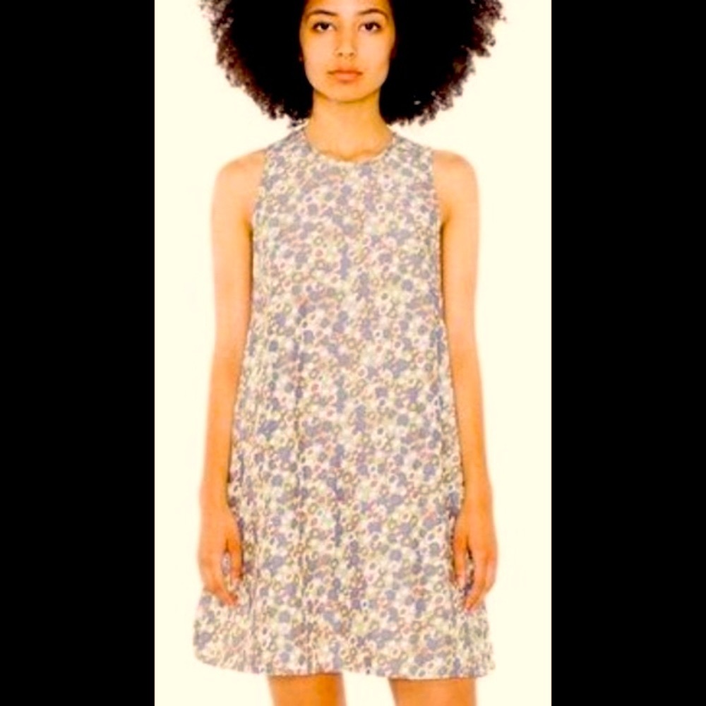 Bundle 3 for $30 American apparel Dakota dress Brady olive print m